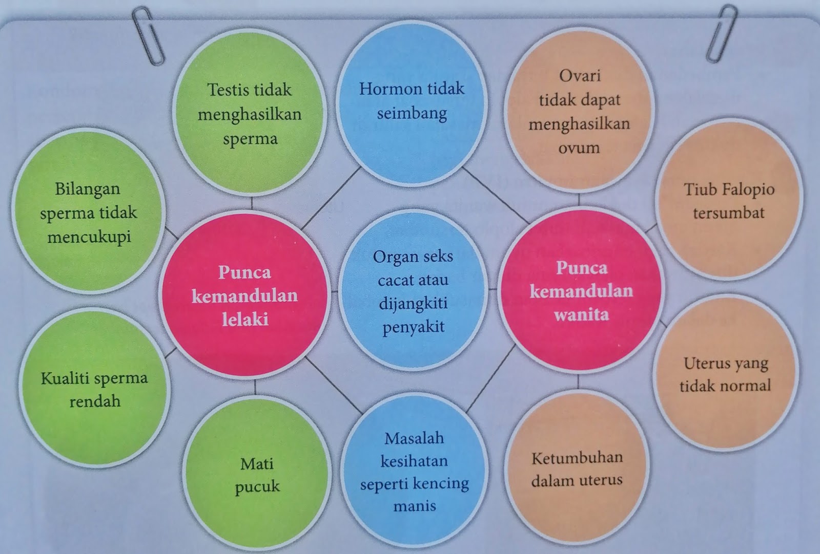 Kemandulan; Apa Punca dan Kaedah Mengatasinya?