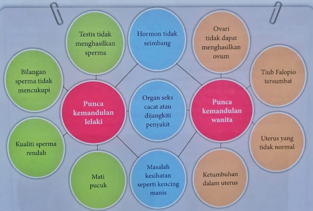 Kemandulan; Apa Punca dan Kaedah Mengatasinya? 