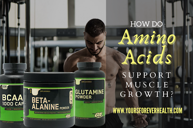 best amino acids for muscle growth