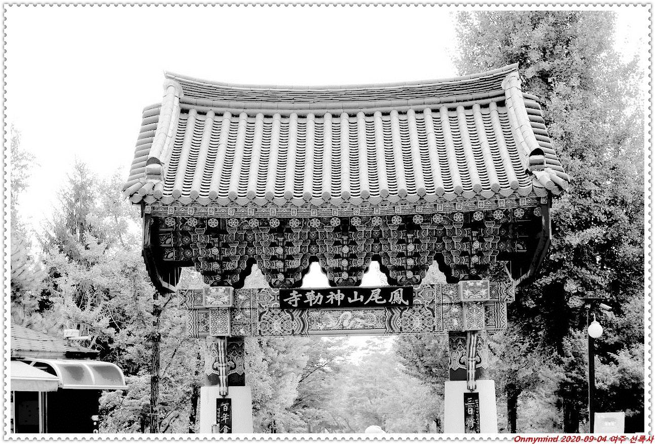 여주 봉미산 신륵사 여주 봉미산 신륵사