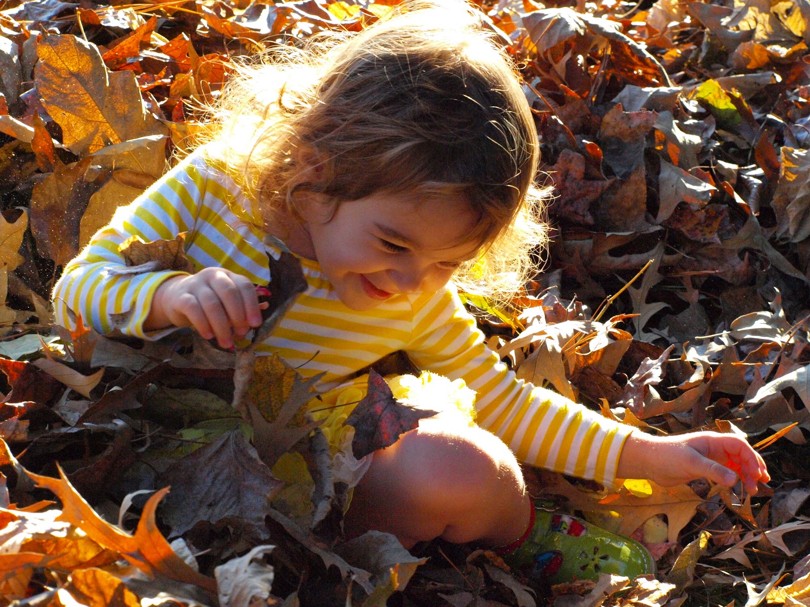 the Mathews Family Happenings: December 2012