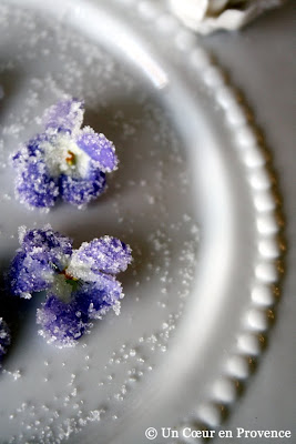 Detail of crystalized violets