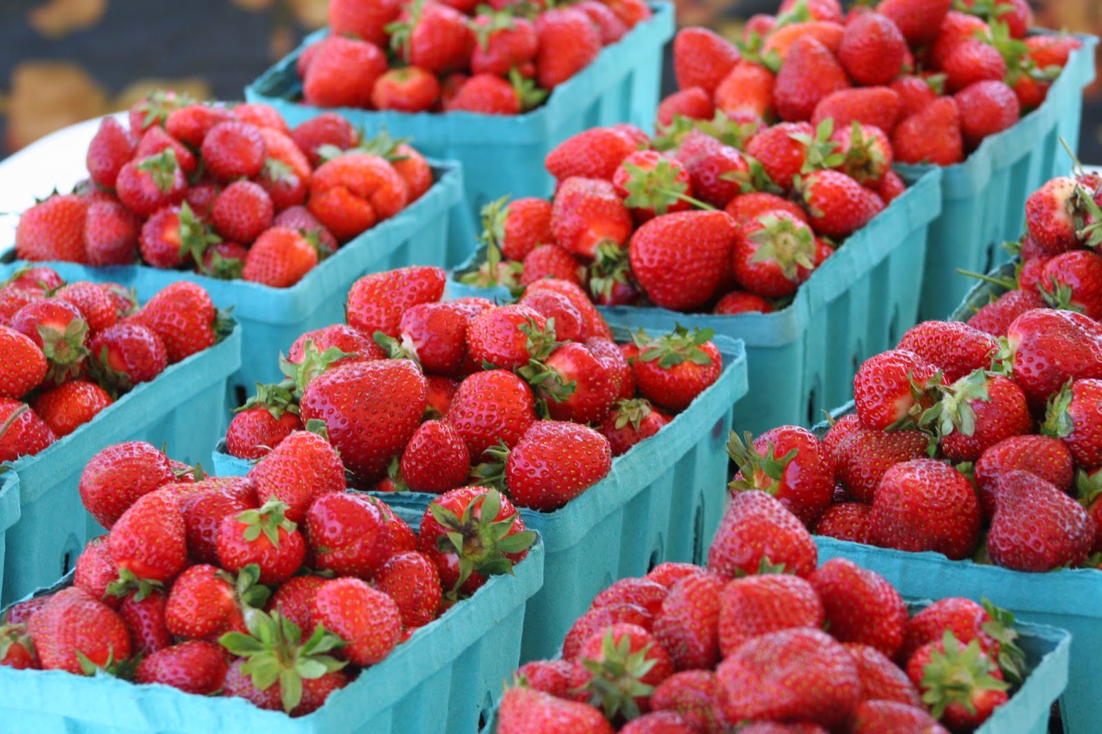 Franklin County (PA) Gardeners 4H Strawberry Plant Sale