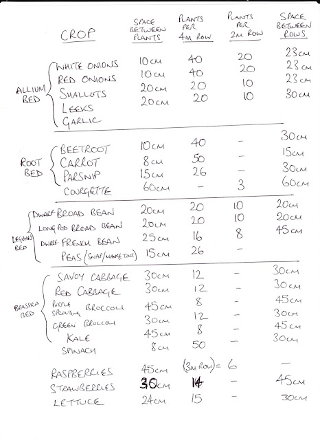 Plant list and spacing calculations The 80 Minute Allotment Planting Plan for 2018 Green Fingered Blog