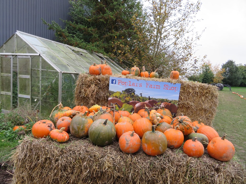 Martin Brookes Oakham Poplars Farm Shop Nuneaton Halloween Pumpkins