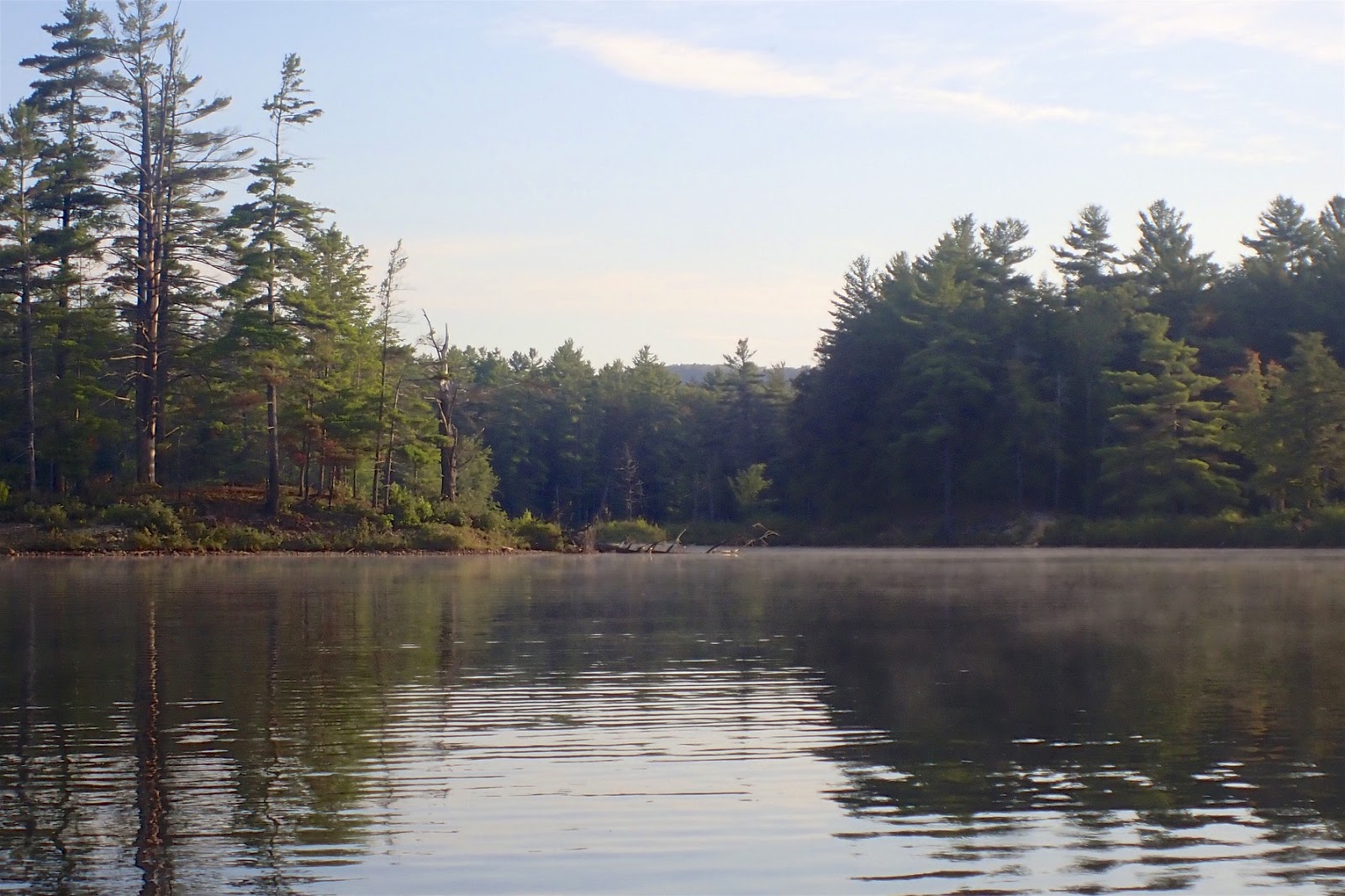 Open Boat, Moving Water A Paddler's Journal Tully Lake August 22, 2020