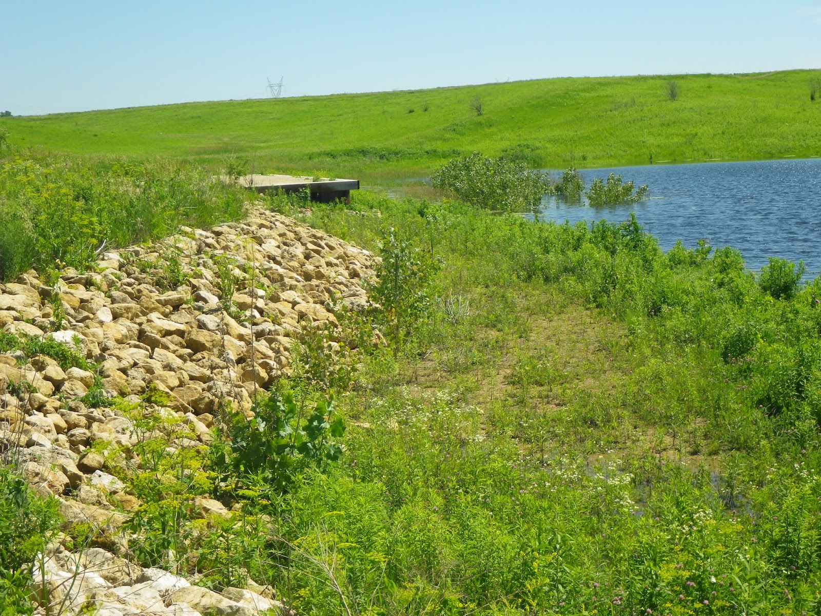 The Lost Grove Lake Mapping Project 2015