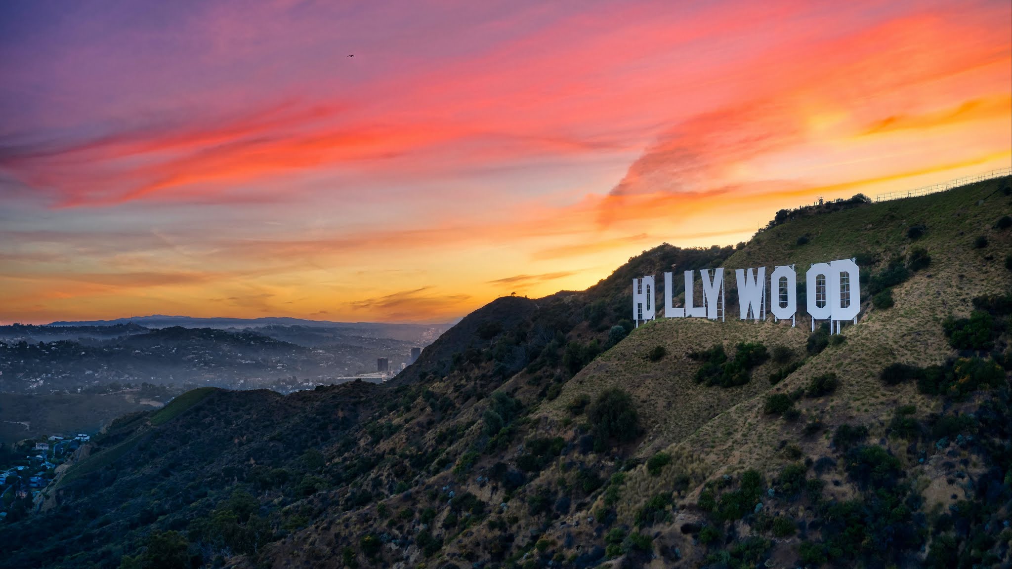 Wallpaper Hollywood Los Angeles Sunset