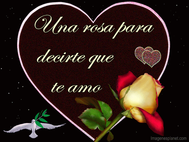 Frases con imagenes de te amo con una rosa