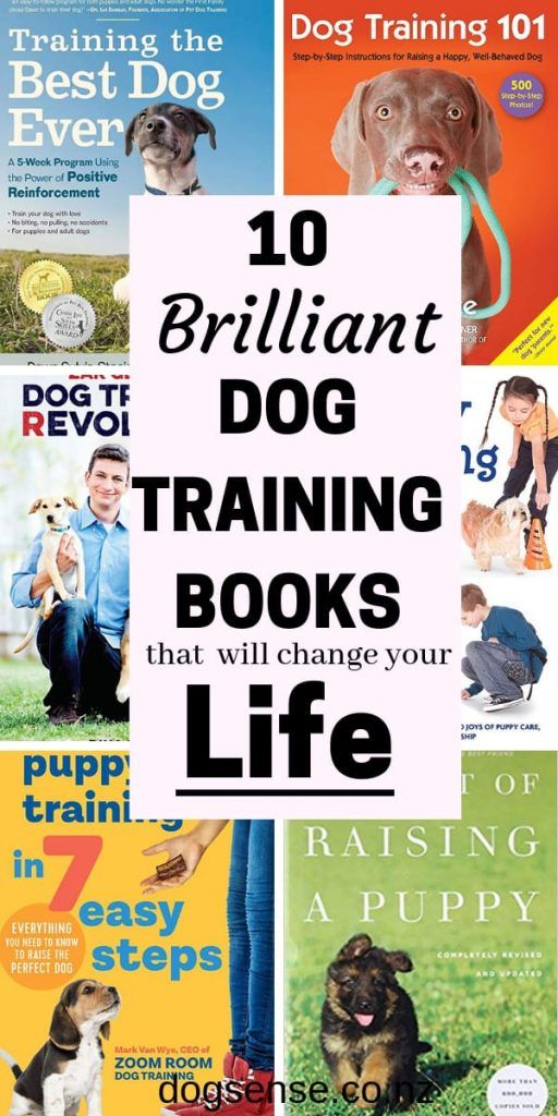 Lovely Dog 10 Dog Training Books That Do What They Say