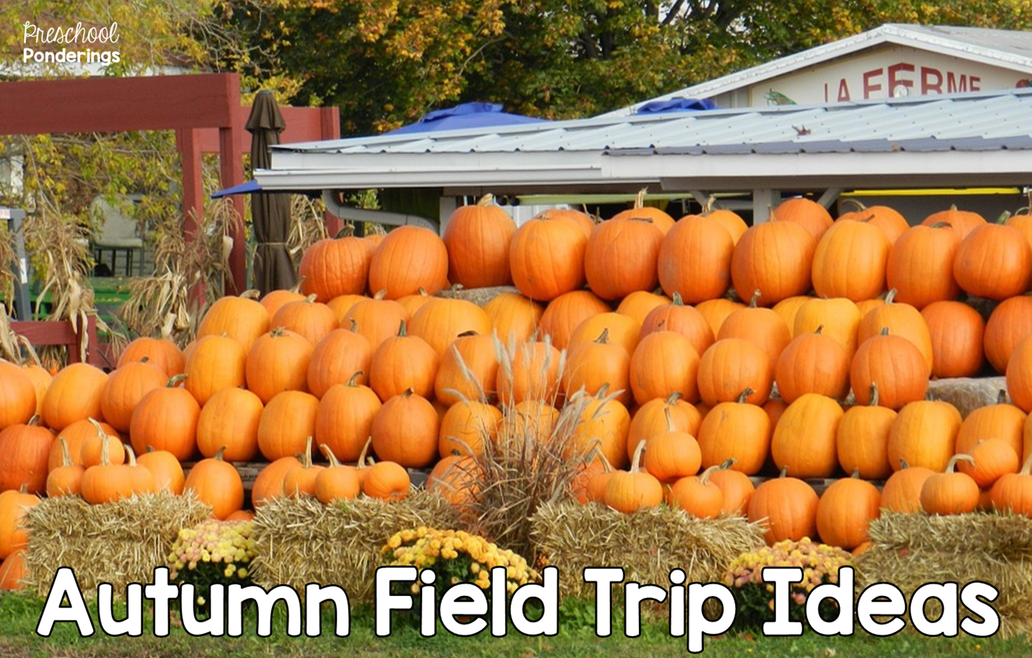 Preschool Ponderings: Autumn Field Trip Ideas