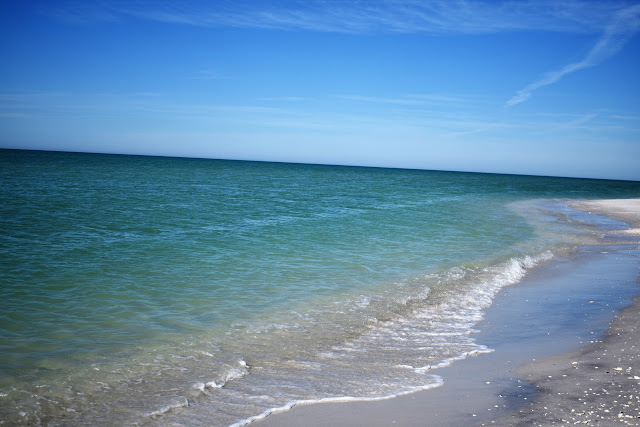 When I first arrived on Sanibel Island…