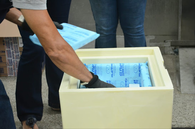 Maranhão recebe novo lote de vacinas da Pfizer nesta quinta-feira