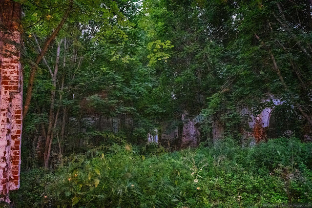 Сочинение про усадьбу рукавишниковых Поросшие травой и деревьями кирпичные развалины