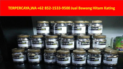 bawang lanang hitam jogja, bawang putih hitam lanang, kegunaan bawang hitam lanang, bawang hitam manfaat, bawang hitam momo, bawang hitam malang, bawang hitam makassar, bawang hitam momoidea, bawang hitam maag, bawang hitam menjadi keras,