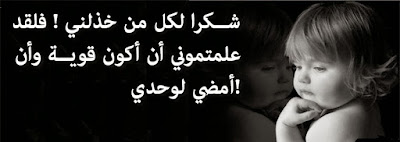shof_b0c1d8dc835c39c