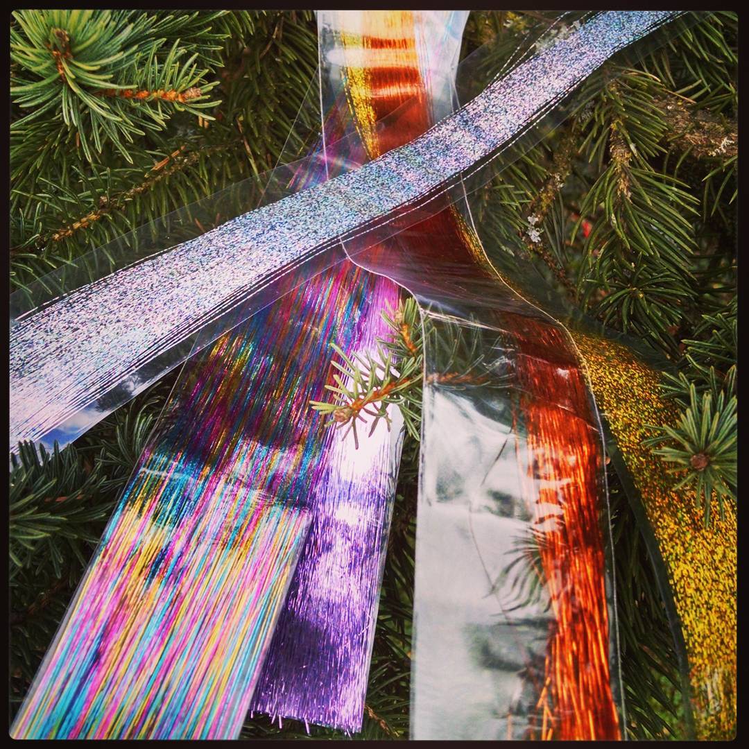 Loropetalum Landscape