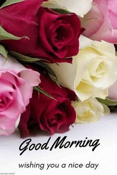 good morning flower images