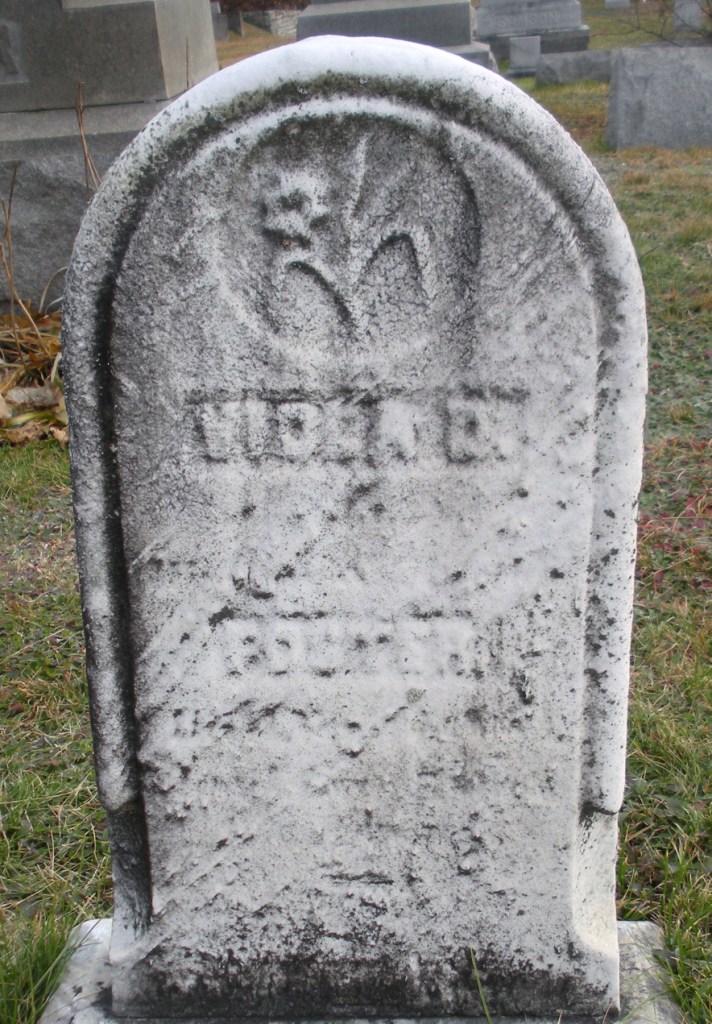 Engraved Lovely Lilies Lead the Way