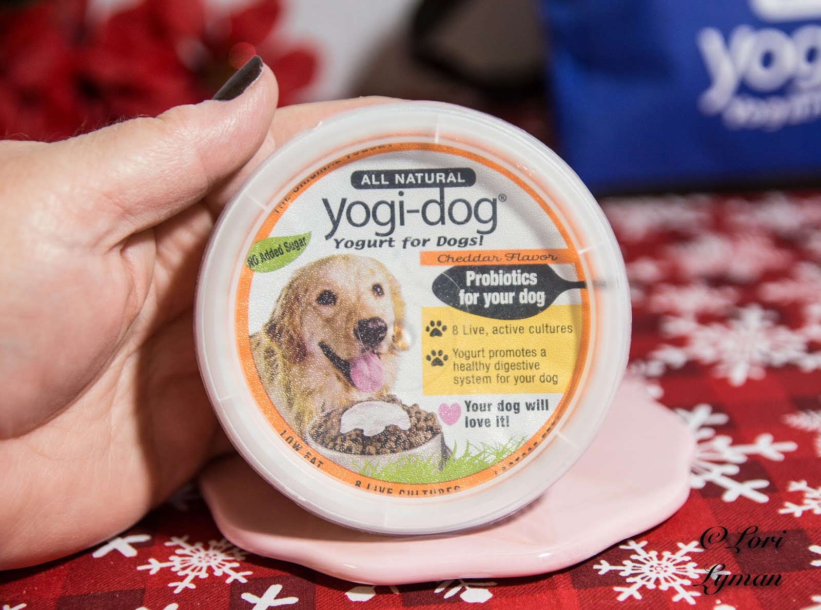 YogiDog Yogurt Give Your Dog a Gift