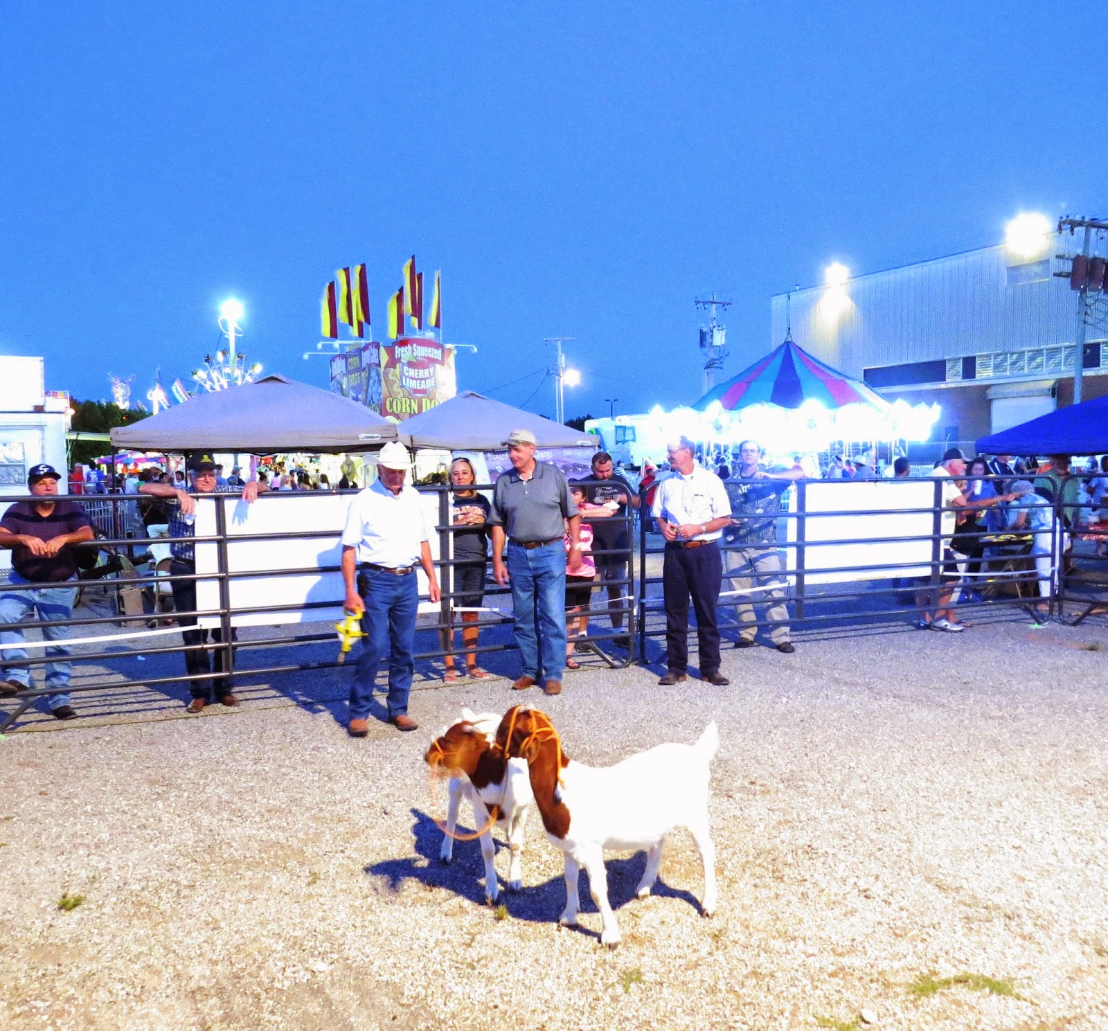 Oklahoma Mentor Cow Patty Bingo I
