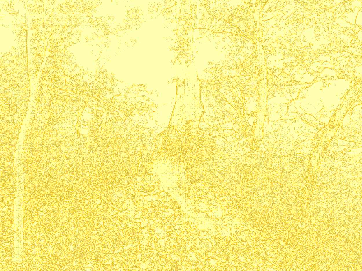 공주 계룡산 갑사 공주 계룡산 갑사