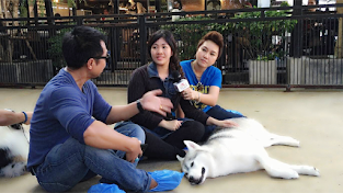 interview at true love husky cafe