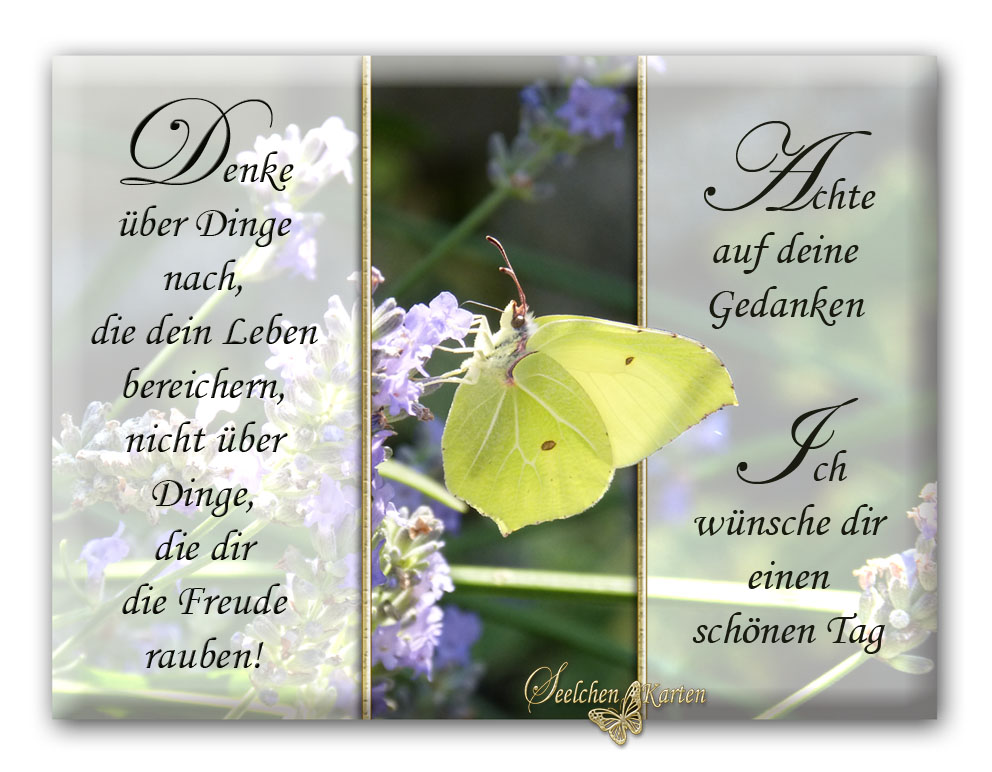 Seelchen Karten und Collagen : Karte Achte auf deine Gedanken! Seelchen Karten und Collagen : Karte Achte auf deine Gedanken!