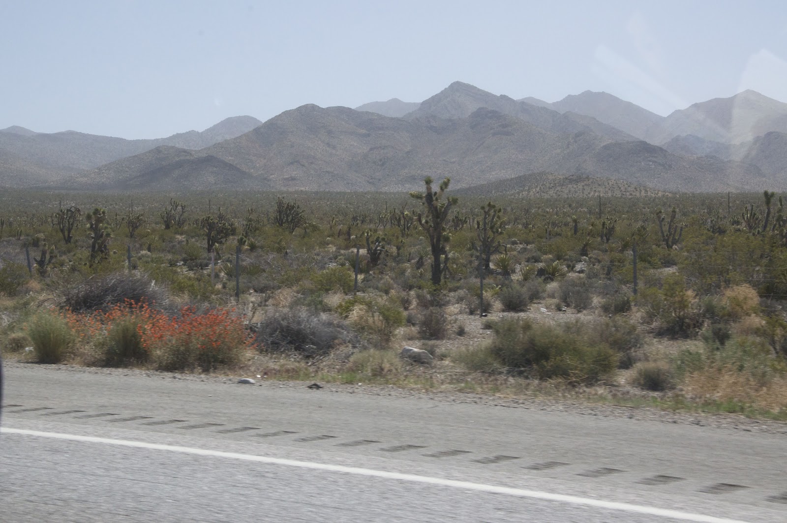 Diane Wright Art Quilts Barstow to Zion