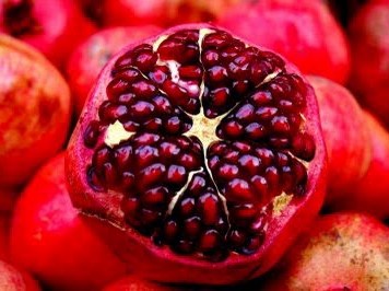 Recipe Collection Fruits