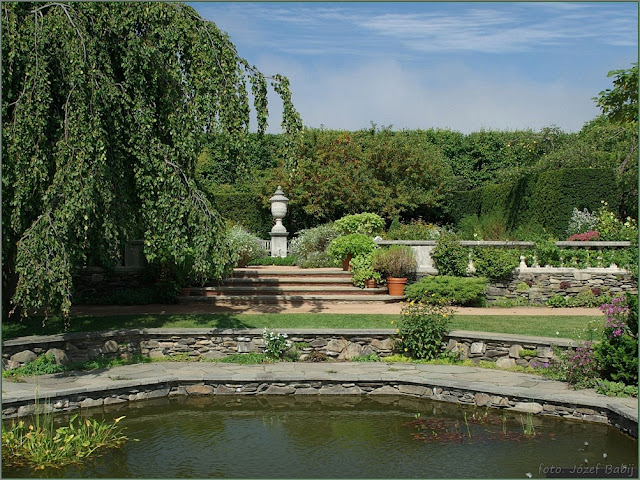 Plant Gallery - Encyklopedia Roślin: