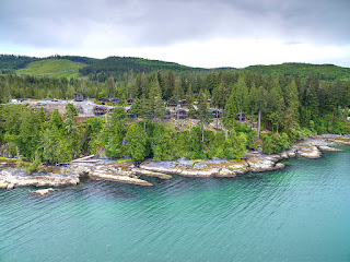 Handsome Dan Port Renfrew