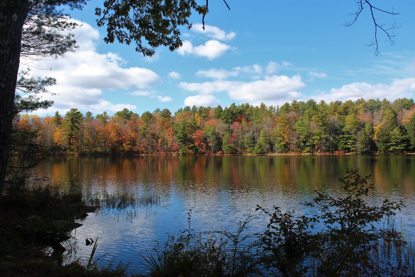 Walking Man 24 7 Mill Pond & Second PondGrafton Lakes State Park(Rensselaer County)