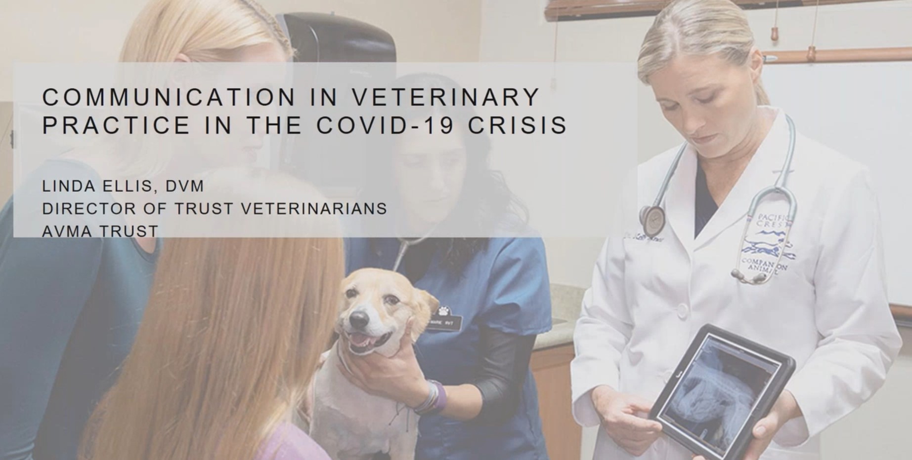 inar Communication in Veterinary Practice in the COVID19 Crisis