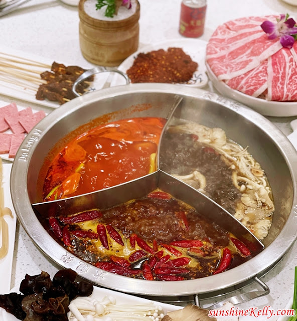 Da Long Yi Hotpot Kota Damansara Review, Da Long Yi Hotpot, 大龙燚火锅, Kota Damansara Restaurants, Best Mala Hotpot KL, Best Mala Hotpot Malaysia, Food