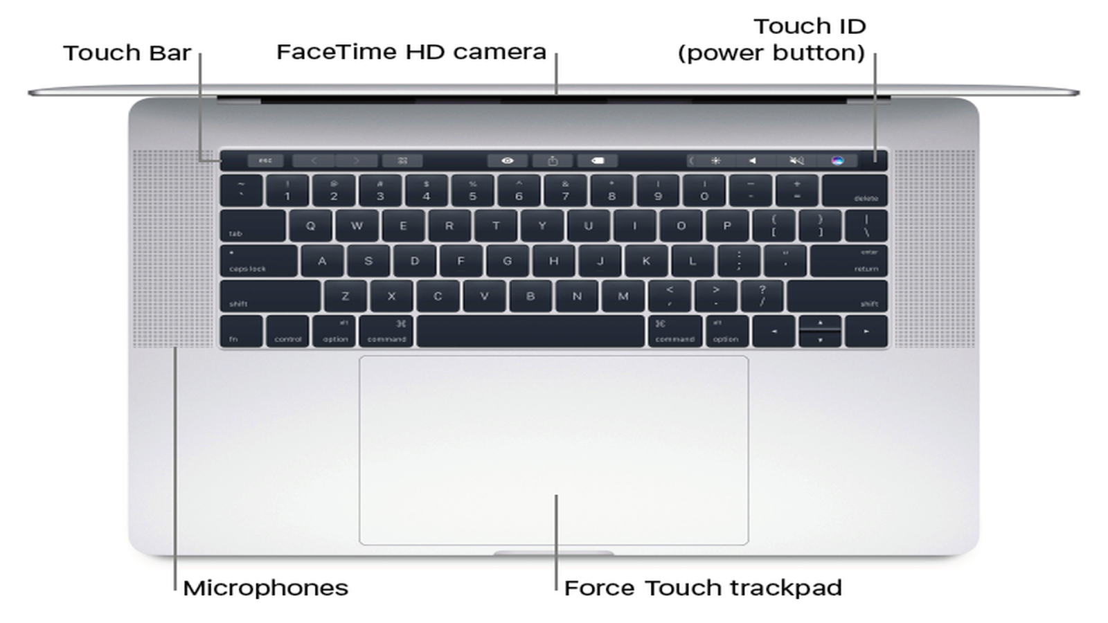 откуда макбук. серийный номер apple macbook air 13. серийный номер на крышке макбука. расположение микрофона на макбук про 13 2019. откуда макбук.