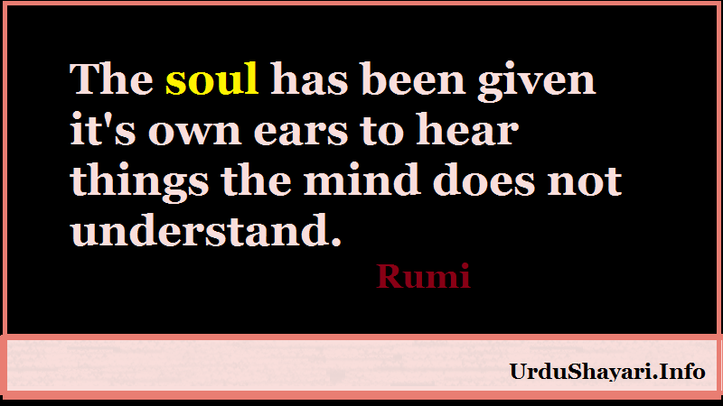 Rumi quotes about soul, mind, Deep poetry