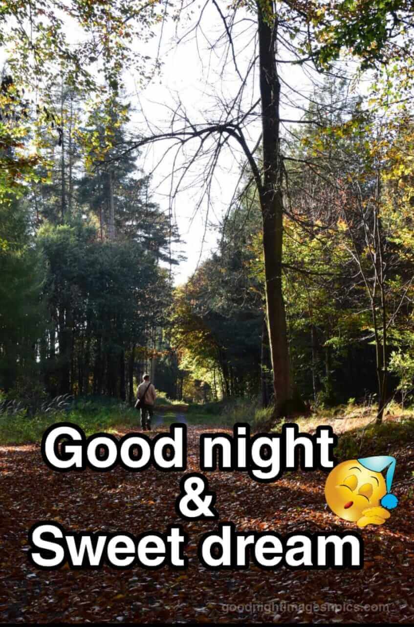 Beautiful Good Night pics Beautiful Good Night pics