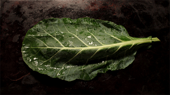 The 99 Cent Chef: Black-eyed Peas & Collard Greens for New Years Day
