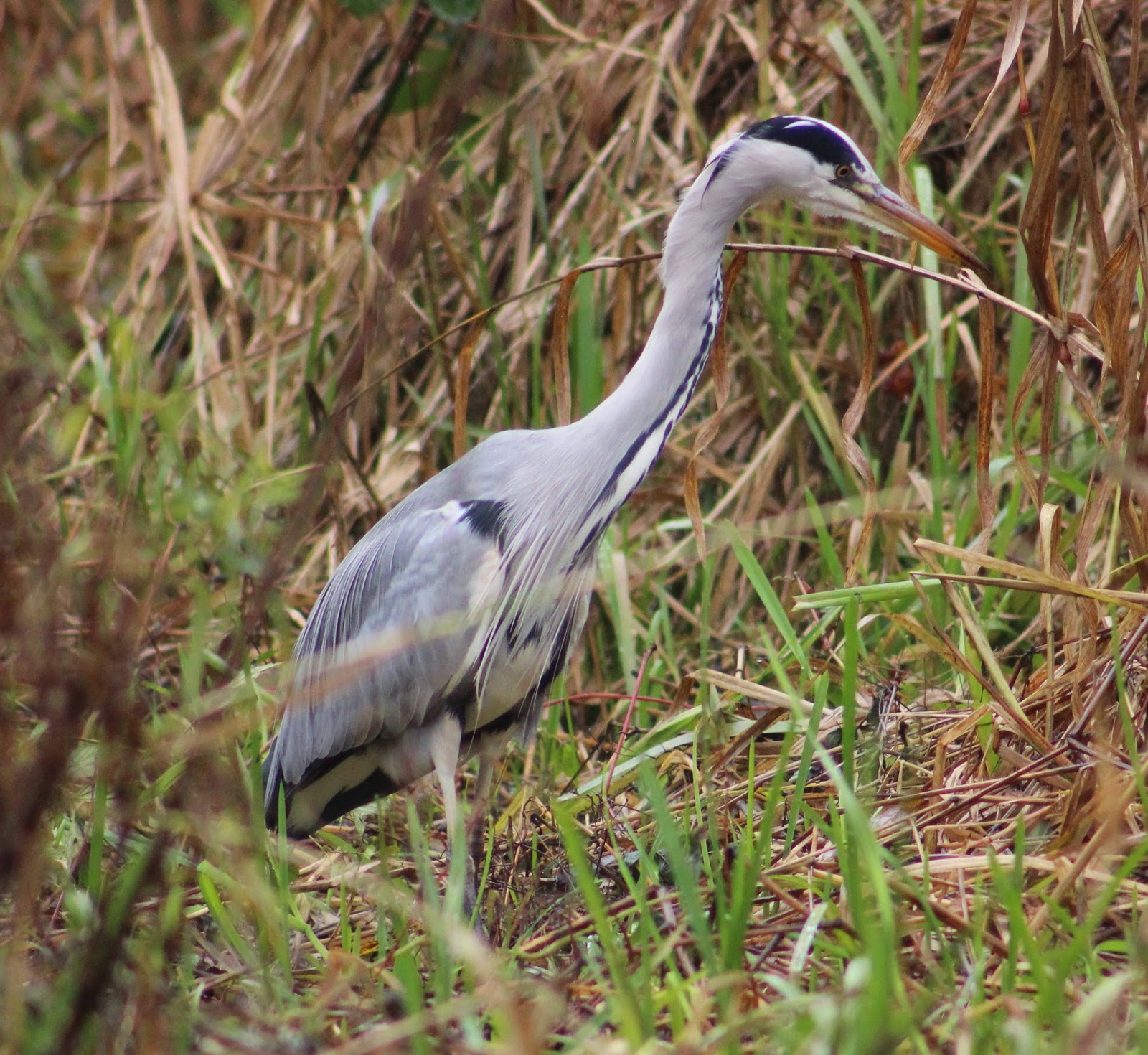 Gossip: Her first naked outdoor photo-shoot - and it was cold and wet