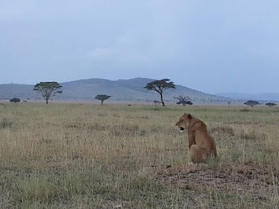 Serengeti National Park Tanzania