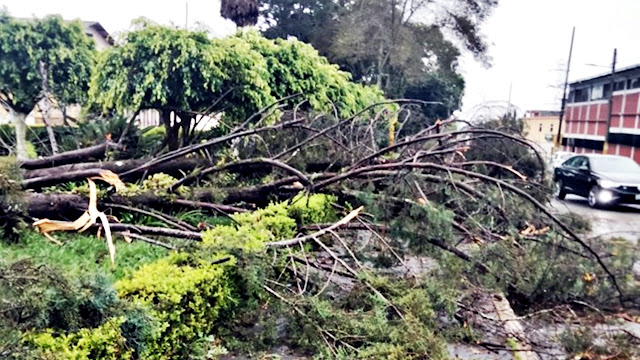 A una semana del paso de "Grace", sigue sin energía eléctrica la Sierra Norte