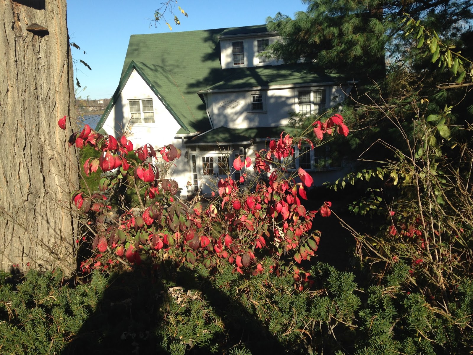 travels Movie Stars' Homes, Bayside, Queens, New York