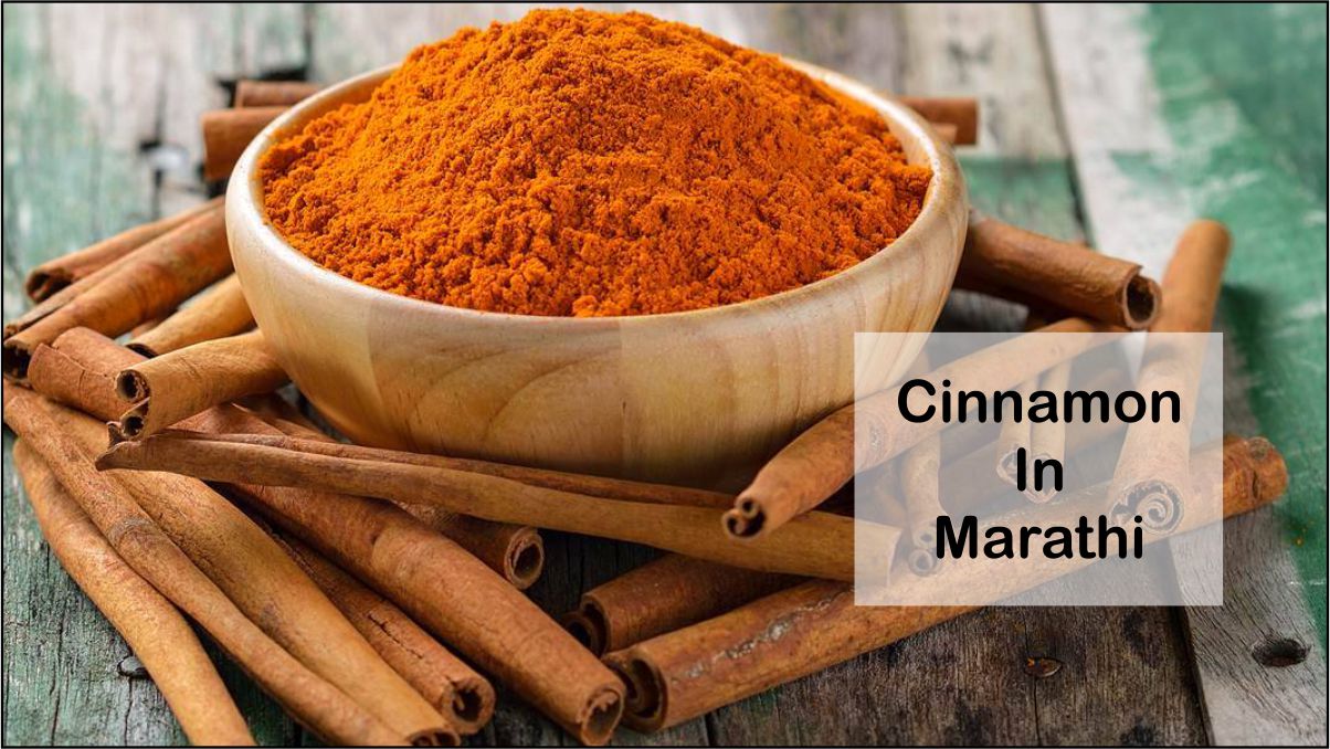 Benefits Of Cinnamon In Marathi दालचीनी चे आयुर्वेदिक फायदे