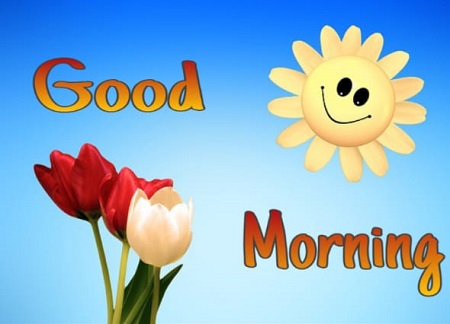 Good Morning Images Good Morning Images