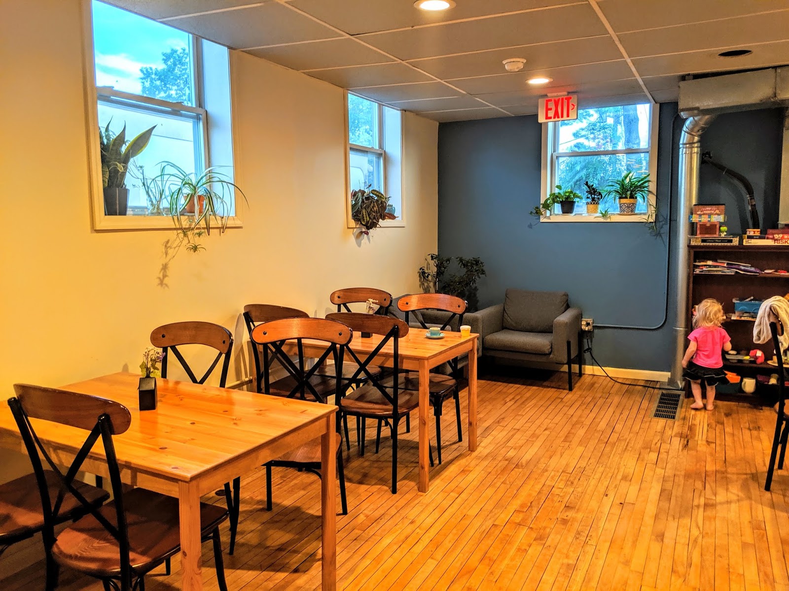 Pure Coffee Blog Storied Coffee