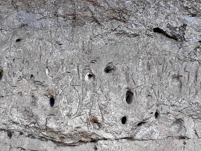 Petroglyphs of Angono