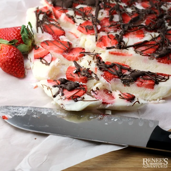 Frozen Strawberry Chocolate Yogurt Bark | Renee's Kitchen Adventures