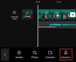 select the voiceover option select the voiceover option