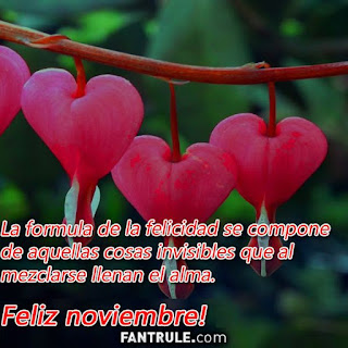 imagenes bienvenido noviembre frases